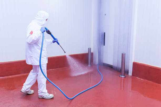Best Dumpster Area Cleaning  in Lorena, TX